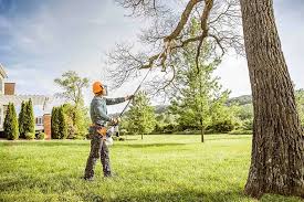 Best Soil Testing and Treatment  in Manche North Shore, CA